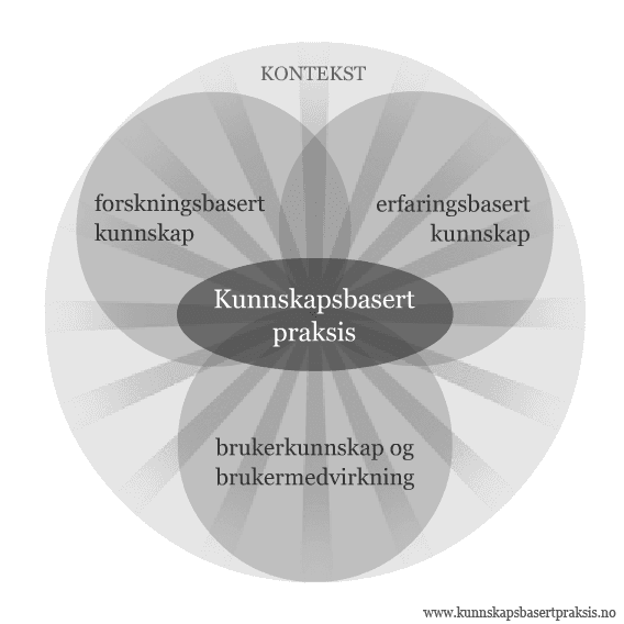 Modell over kunnskapsbasert praksis